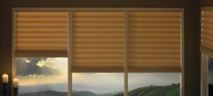 window blinds you want for your Durham, NC